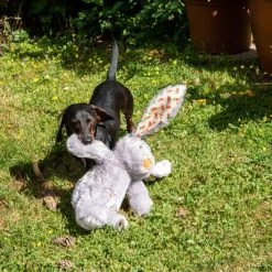 Conejo Elsie De Peluche Para Perros -Perros Gatos Suministros Tienda 267996 elsie mit hund fg 3339 8