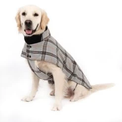 Abrigo Flannel Check Para Perros -Perros Gatos Suministros Tienda 269071 flannel check 60cm fg 2336 5