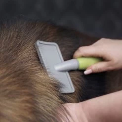 Carda Grande Moser Para Mascotas -Perros Gatos Suministros Tienda 289696 moser grosse zupfbuerste hs 02 6