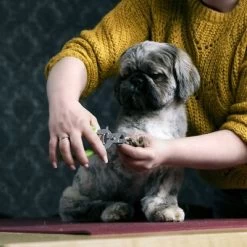 Cortaúñas Moser Para Mascotas -Perros Gatos Suministros Tienda 289896 moser krallenzange hs 03 6