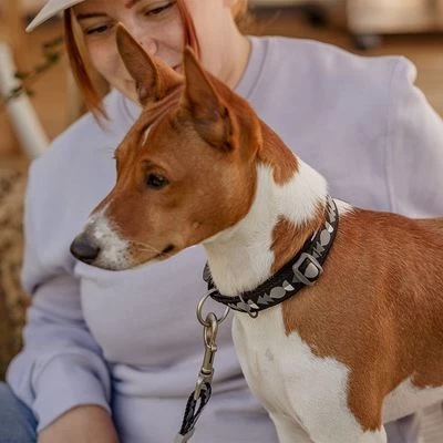 Collar Hurtta Bare Carbón Para Perros 13 Collar Hurtta Bare Carbón Para Perros - Imagen 11