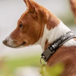 Collar Hurtta Bare Carbón Para Perros 20 Collar Hurtta Bare Carbón Para Perros -Perros Gatos Suministros Tienda 291297 291298 288343 291396 hurtta bare halsband coal hs 10 2