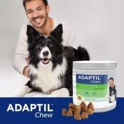 ADAPTIL® Chew Para Perros 9 ADAPTIL® Chew Para Perros -Perros Gatos Suministros Tienda 302596 cevadeutschland adaptil chew hunde 30chews hs 06 6
