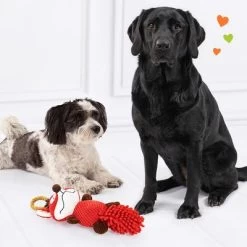 Doglove Zorro De Juguete Para Perros -Perros Gatos Suministros Tienda 303196 edupet doglove hundespielzeug fuchs hs 05 9