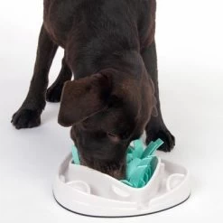 TIAKI Grass Slow Feeder Juguete De Inteligencia Para Perros -Perros Gatos Suministros Tienda 304297 tiaki dog grass slow feeder fg 1834 7