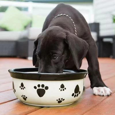 Vet's Best® Dental Refrescante De Aliento Para Perros 4 Vet's Best® Dental Refrescante De Aliento Para Perros - Imagen 2