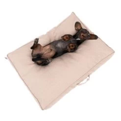 Colchón TIAKI Memory Foam Beige Para Perros -Perros Gatos Suministros Tienda 318697 tiaki hundematratze beige fg 5024 1