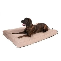 Colchón TIAKI Memory Foam Beige Para Perros -Perros Gatos Suministros Tienda 318699 mit hund fg 5104 1