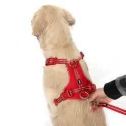 Correa Ajustable TIAKI Reflective Rubber Roja Para Perros -Perros Gatos Suministros Tienda 323005 neoprene geschirr l fg 1662 4