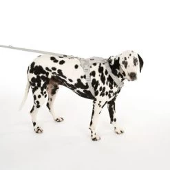 Arnés TIAKI Neoprene Gris Para Perros 27 Arnés TIAKI Neoprene Gris Para Perros -Perros Gatos Suministros Tienda 323033 neoprene geschirr l fg 0470 9