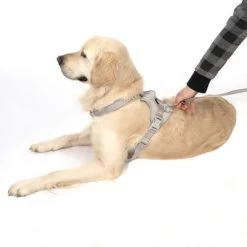 Arnés TIAKI Neoprene Gris Para Perros 20 Arnés TIAKI Neoprene Gris Para Perros -Perros Gatos Suministros Tienda 323033 neoprene geschirr l fg 1703 5