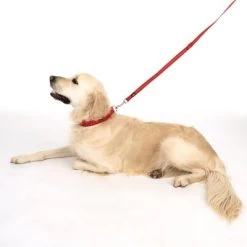 Correa Ajustable TIAKI Reflective Rubber Roja Para Perros -Perros Gatos Suministros Tienda 323199 soft save m fg 1630 5