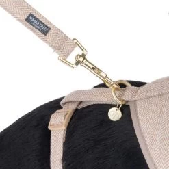 Correa Nomad Tales Calma Arena Para Perros -Perros Gatos Suministros Tienda 324713 calma fg 7811 0