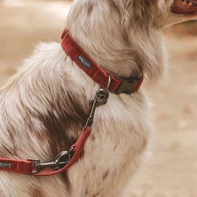 Collar Nomad Tales Blush Vino Para Perros - Imagen 17