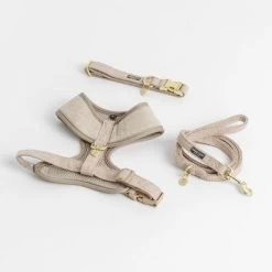 Correa Nomad Tales Calma Arena Para Perros -Perros Gatos Suministros Tienda 326198 326096 nomad tales calma halsband ebony 01 2