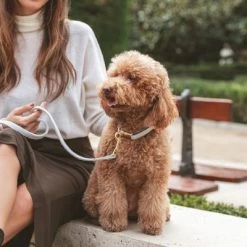 Collar Nomad Tales Calma Piedra Para Perros -Perros Gatos Suministros Tienda 326806 326197 nomad tales calma halsband stone 03 5