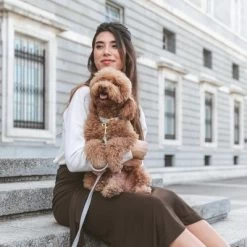 Collar Nomad Tales Calma Piedra Para Perros -Perros Gatos Suministros Tienda 326806 326197 nomad tales calma halsband stone 05 0