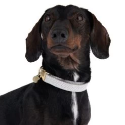 Collar Nomad Tales Calma Piedra Para Perros -Perros Gatos Suministros Tienda 326807 calma m fg 7321 6