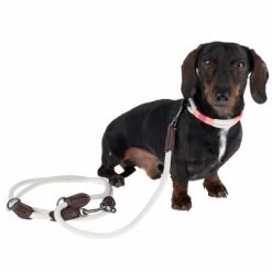 Correa Ajustable Nomad Tales Spirit Piedra Para Perros -Perros Gatos Suministros Tienda 329197 329397 spirit xs fg 7690 5