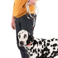 Correa Ajustable Nomad Tales Spirit Piedra Para Perros -Perros Gatos Suministros Tienda 329296 329397 spirit l fg 7494 9