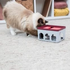 Trixie Cat Activity Rod Box Juego De Inteligencia Para Gatos 18 Trixie Cat Activity Rod Box Juego De Inteligencia Para Gatos -Perros Gatos Suministros Tienda 332214 trixie cat activity rod box hs 09 1