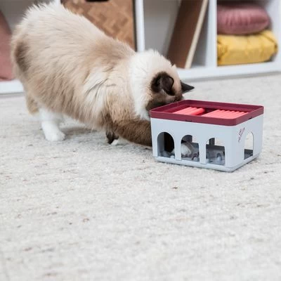 Trixie Cat Activity Rod Box Juego De Inteligencia Para Gatos 9 Trixie Cat Activity Rod Box Juego De Inteligencia Para Gatos - Imagen 7