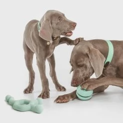 Pelota Portasnacks Nomad Tales Bloom Snack Roller Juguete Para Perros -Perros Gatos Suministros Tienda 333015 nomad tales snack ball 01 4