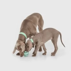 Pelota Portasnacks Nomad Tales Bloom Snack Roller Juguete Para Perros -Perros Gatos Suministros Tienda 333015 nomad tales snack ball 02 1