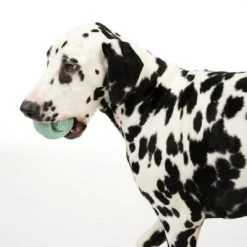 Pelota Portasnacks Nomad Tales Bloom Snack Roller Juguete Para Perros -Perros Gatos Suministros Tienda 333015 rolling snack roll fg 0570 7