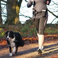 Correa Con Cinturón Manos Libres Trixie Para Perros -Perros Gatos Suministros Tienda 34082 hands free joggingleine hs 02 1