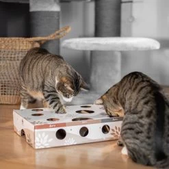 Canadian Cat Company MagicBox Juego De Inteligencia Para Gatos -Perros Gatos Suministros Tienda 346599 canadiancat company intelligenzspielzeug magicbox hs 13 9