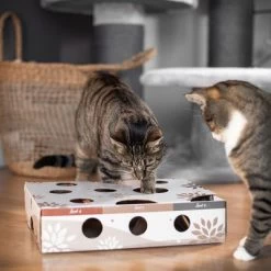 Canadian Cat Company MagicBox Juego De Inteligencia Para Gatos -Perros Gatos Suministros Tienda 346599 canadiancat company intelligenzspielzeug magicbox hs 16 0