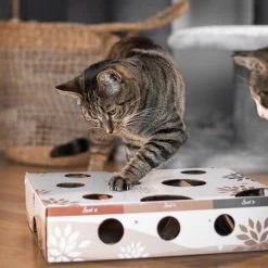 Canadian Cat Company MagicBox Juego De Inteligencia Para Gatos -Perros Gatos Suministros Tienda 346599 canadiancat company intelligenzspielzeug magicbox hs 18 2