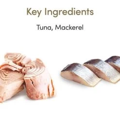 Pack Ahorro: Applaws En Gelatina 32 X 70 G -Perros Gatos Suministros Tienda 362008 applaws pouch thunfischmakrele 70g hs 02 2