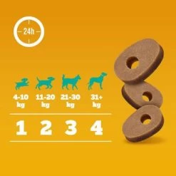 Pedigree Multivitaminas Para El Sistema Inmunitario 8 Pedigree Multivitaminas Para El Sistema Inmunitario -Perros Gatos Suministros Tienda 372107 pedigree multivitamins immunsystem hs 07 6