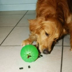 Starmark Pelota Portasnacks Para Perros -Perros Gatos Suministros Tienda 388801 starmark treat dispensing chewball hs 04 0