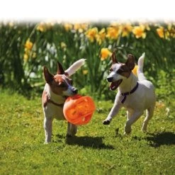 KONG Jumbler Pelota Para Perros -Perros Gatos Suministros Tienda 439783 kong jumbler im einsatz 1