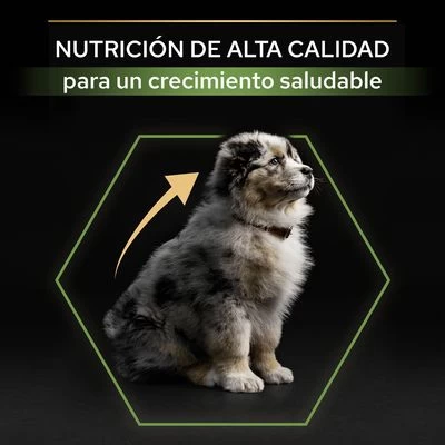 PURINA PRO PLAN Medium Puppy Healthy Start 7 PURINA PRO PLAN Medium Puppy Healthy Start - Imagen 5