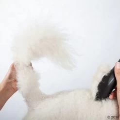 Máquina Cortapelo Moser Max50 31 Máquina Cortapelo Moser Max50 -Perros Gatos Suministros Tienda 465281 schermaschine moser max 50 02 0