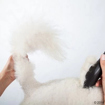 Máquina Cortapelo Moser Max50 14 Máquina Cortapelo Moser Max50 - Imagen 12