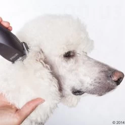 Máquina Cortapelo Moser Max50 30 Máquina Cortapelo Moser Max50 -Perros Gatos Suministros Tienda 465281 schermaschine moser max 50 05 4