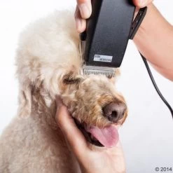 Máquina Cortapelo Moser Rex -Perros Gatos Suministros Tienda 465375 schermaschine moser rex 04 0