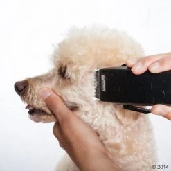 Máquina Cortapelo Moser Rex -Perros Gatos Suministros Tienda 465375 schermaschine moser rex 05 2