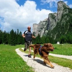 Cinturón De Canicross NEEWA -Perros Gatos Suministros Tienda 505647 hp neewa canicross jogging gurt im einsatz 3