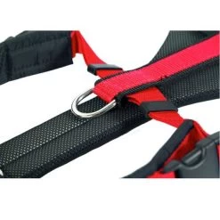 Arnés De Canicross NEEWA Running Rojo Para Perros -Perros Gatos Suministros Tienda 505648 hs neewa running harness rot ring 0