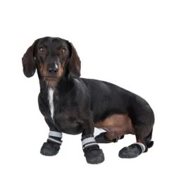 Zapatos Para Perros S & P Boots