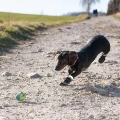 Zapatos Para Perros S & P Boots -Perros Gatos Suministros Tienda 52149 hundeschuhe xs fg 0967 9