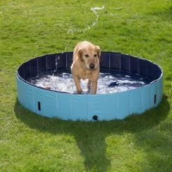 Piscina Para Perros Keep Cool 39 Piscina Para Perros Keep Cool -Perros Gatos Suministros Tienda 60405 dog pool mit hund 05 2