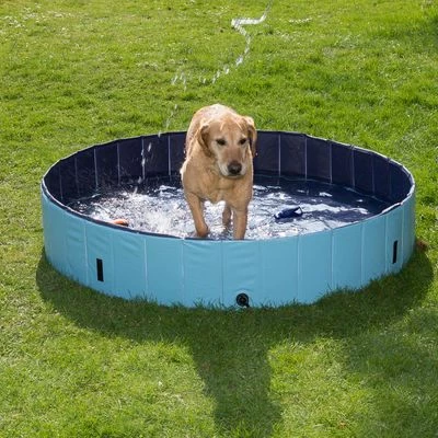 Piscina Para Perros Keep Cool 20 Piscina Para Perros Keep Cool - Imagen 18