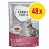 Concept For Life 48 X 85 G - Pack Ahorro 2 Concept For Life 48 X 85 G - Pack Ahorro -Perros Gatos Suministros Tienda 620847 concept for life 48x85g 1